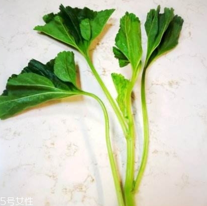 冬寒菜多少錢(qián)一斤？