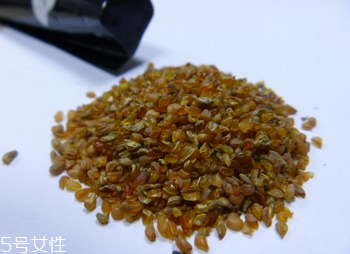 黑苦蕎茶苦嗎？苦蕎有苦卻不苦