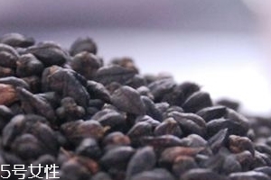 黑苦蕎茶上火嗎？蒸煮法苦蕎茶不上火
