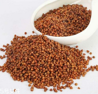 黑苦蕎茶上火嗎？蒸煮法苦蕎茶不上火