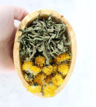 蒲公英茶哪些人不宜喝？這三種人要避開(kāi)