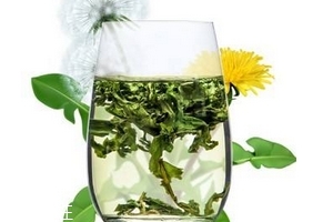 蒲公英茶哪個(gè)牌子好？大牌子值得信賴