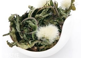 蒲公英茶怎么做？蒲公英茶做法超簡單