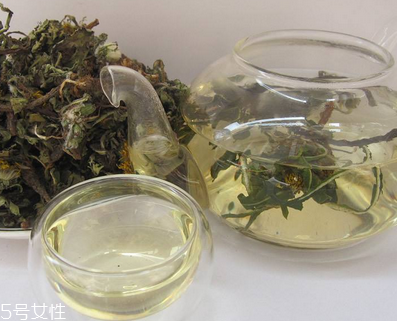 蒲公英茶怎么做？蒲公英茶做法超簡單