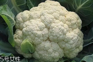 花椰菜可以生吃嗎？熱水殺毒可食用