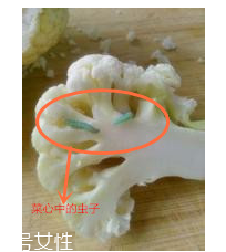 花菜怎么洗才干凈？一定要把蟲子洗掉