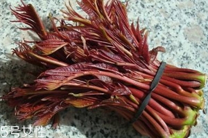 香椿涼拌怎么做好吃？超級(jí)簡(jiǎn)單的3道開胃菜