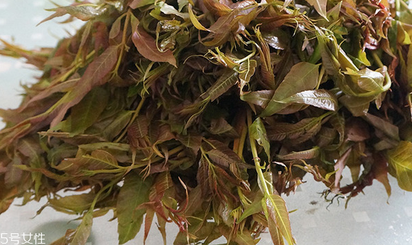 香椿水餃怎么做好吃？超詳細(xì)香椿豆腐餃子做法