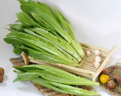 油麥菜怎么涼拌好吃？加點(diǎn)麻醬調(diào)味