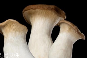 杏鮑菇怎么洗才干凈？鹽水泡泡輕松去污