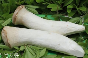 杏鮑菇熟了是什么樣？變軟了就能吃