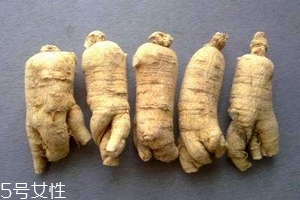 西洋參會(huì)回奶嗎？不用擔(dān)心這個(gè)問題