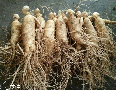 西洋參會(huì)推遲月經(jīng)嗎？這個(gè)是有可能的