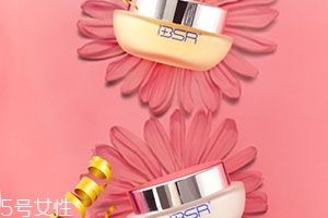 bsr博生能是什么牌子？哪國的