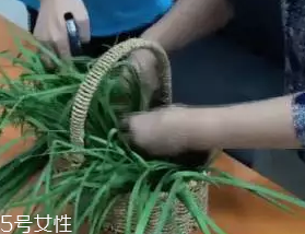 韭菜怎么保存時(shí)間長？真空保存最持久