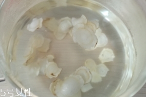 西洋參晚上可以喝嗎？晚上喝影響睡眠