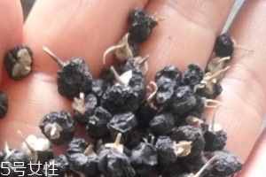 黑枸杞為什么是藍(lán)色？花青素的原因