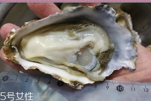 生蠔會有寄生蟲嗎？不生吃就沒關(guān)系