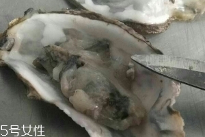 生蠔會上火嗎？烤生蠔易上火
