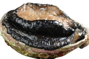 鮑魚(yú)罐頭怎么打開(kāi)？像八寶粥一樣拉開(kāi)