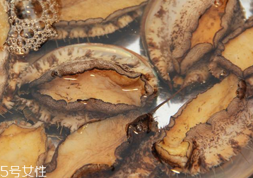 鮑魚(yú)罐頭怎么打開(kāi)？像八寶粥一樣拉開(kāi)