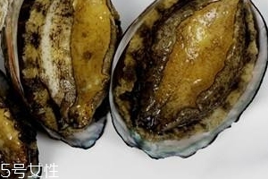 鮑魚罐頭好吃嗎？味道還可以