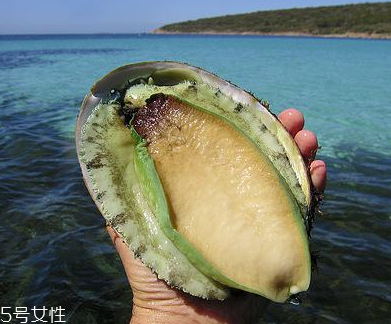 鮑魚罐頭好吃嗎？味道還可以