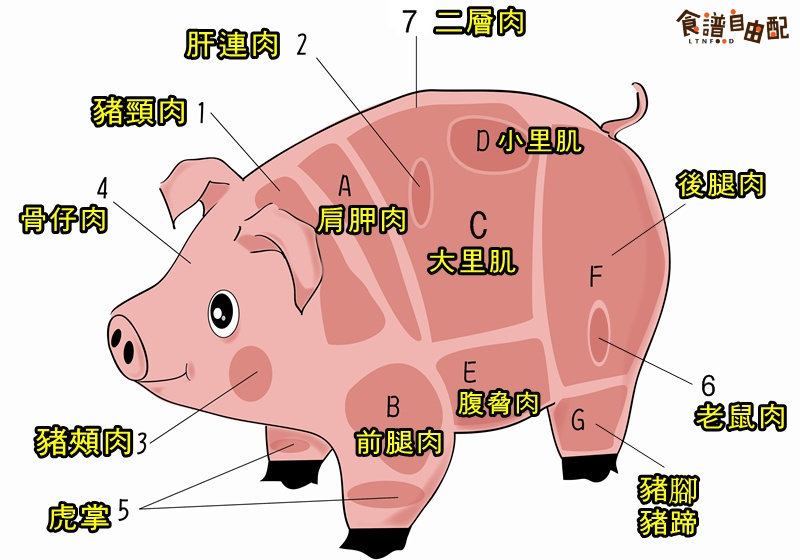豬各部位肉的名稱(chēng)圖片全解