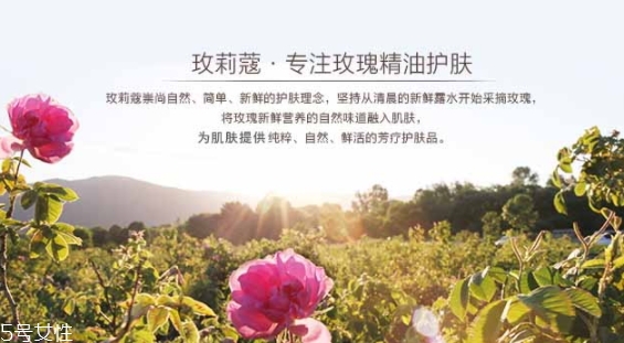 玫莉蔻護膚品怎么樣？主打玫瑰的護膚品牌