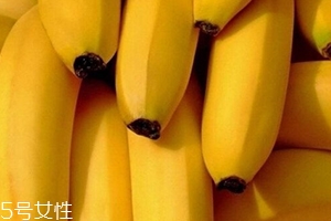 仙人蕉多少錢一斤？