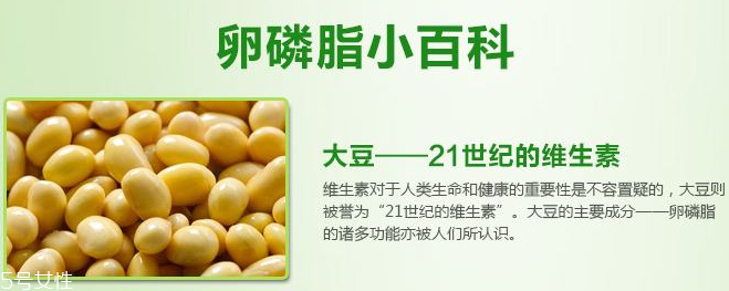 卵磷脂什么時候吃最好？早晚飯前最佳