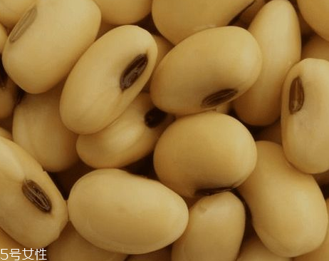 卵磷脂兒童可以吃嗎？可以適當(dāng)服用