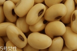 卵磷脂通乳嗎？這個(gè)還不一定