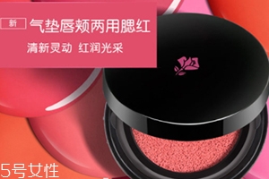 2018氣墊腮紅哪個(gè)牌子好？