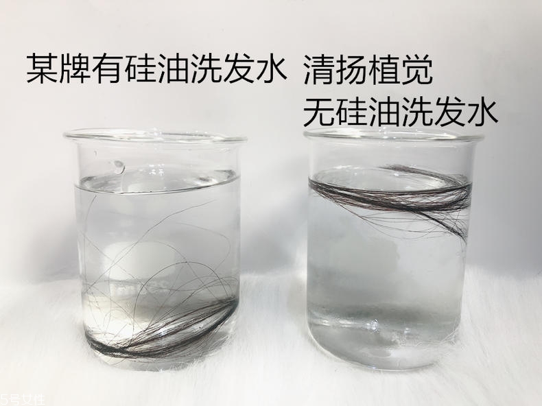 清揚(yáng)0硅油洗發(fā)水好用嗎？自帶高級(jí)感香調(diào)