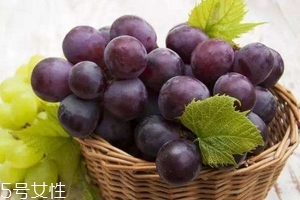葡萄籽是雌激素嗎？一般是不含的