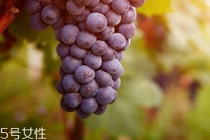葡萄籽會(huì)影響月經(jīng)嗎？吃法正確就不會(huì)