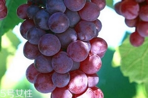 葡萄籽會推遲月經(jīng)嗎？一般不會