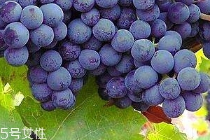 葡萄籽會長痘嗎？沒有這個(gè)情況