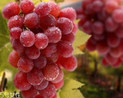 葡萄籽會長痘嗎？沒有這個(gè)情況