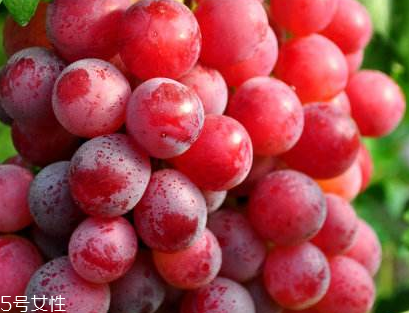 葡萄籽會(huì)發(fā)胖嗎？不會(huì)發(fā)胖