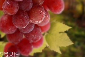 葡萄籽泡水喝有作用嗎？美容保健