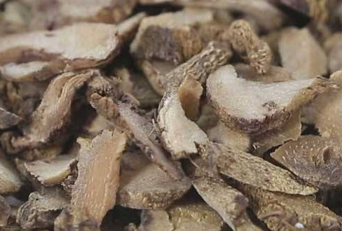ç™½èŠ¨å¯ä»¥æ³¡æ°´å–å—Ž ç™½èŠ¨æ³¡æ°´æŠ€å·§