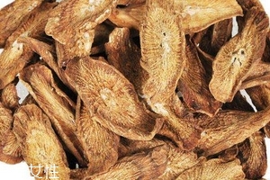 牛蒡茶是什么做的？牛蒡茶是樹根嗎？