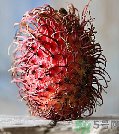 紅毛丹的核能吃嗎？紅毛丹的核可以吃嗎？