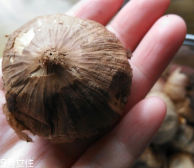 黑蒜的價格多少錢一斤？黑蒜很貴嗎？