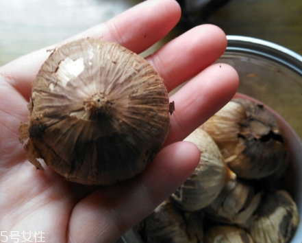 黑蒜的價格多少錢一斤？黑蒜很貴嗎？
