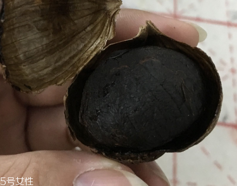 黑蒜是種植出來的嗎？黑蒜怎么來的