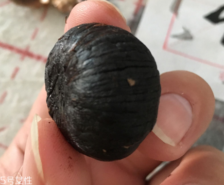 黑蒜是種植出來的嗎？黑蒜怎么來的
