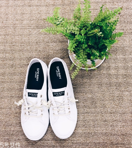 sperry鞋碼偏大嗎？sperry鞋碼選購標準